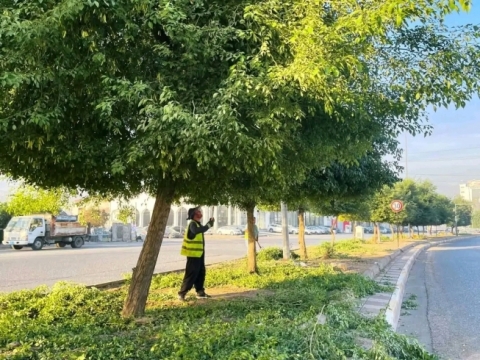 لەپێناو جوانتر کردنی سیمای شار، تیمەکانی ئەندازەی پارکەکان دەستیانکرد بە ڕێکخستنەوەی سەوزایی شوێنەگشتیەکان:_