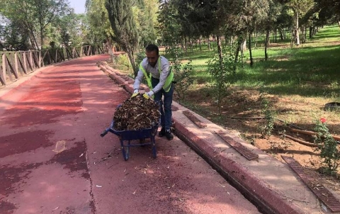 Arranging trees and cleaning streets of  Sami Abdulrahman Park 