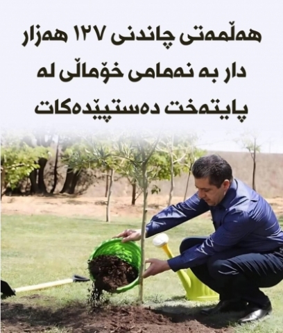 هەولێر .. هەڵمەتی چاندنی 127 هەزار نەمامی خۆماڵی دەستپێدەکات