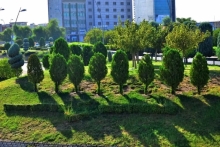 دیمەنێکی سەوز و جوان لە چوارڕیانی کاکە زیاد