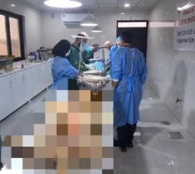 A volunteer veterinary team from North Kurdistan arrives at the animal shelter in Erbil