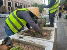 لە چوارچێوەی هەوڵەکانی زیادکردنی ڕێژەی سەوزایی لە شاری هەولێر و جوانترکردنی سیمای شەقام و شوێنەگشتیەکان