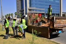 لە چوارچێوەی هەوڵە بەردەوامەکانی زیادکردنی ڕێژەی سەوزایی