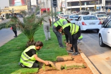 شەقامی کۆیە (گەڕەکی سێتاقان) بەڕووبەرێکی زۆر کاری فەرشکردنی فریز و زیادکردنی ڕێژەی سەوزایی تێدا ئەنجامدرا 