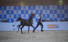 Prime Minister Mr. Masrour Barzani attended the Arabian Horse Beauty Festival 